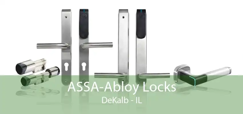 ASSA-Abloy Locks DeKalb - IL