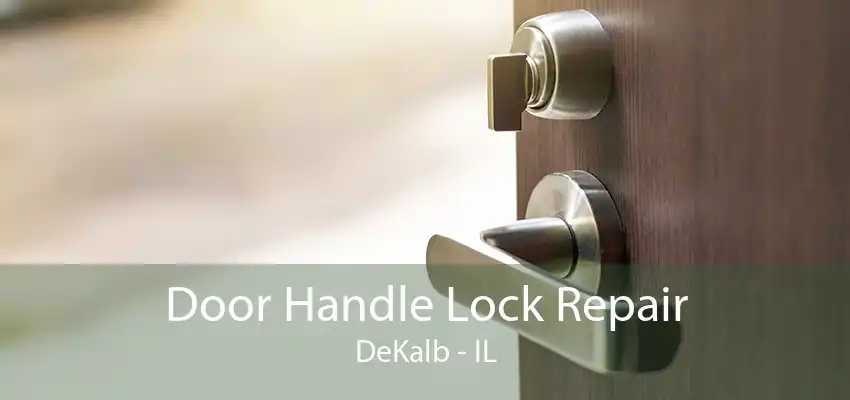 Door Handle Lock Repair DeKalb - IL