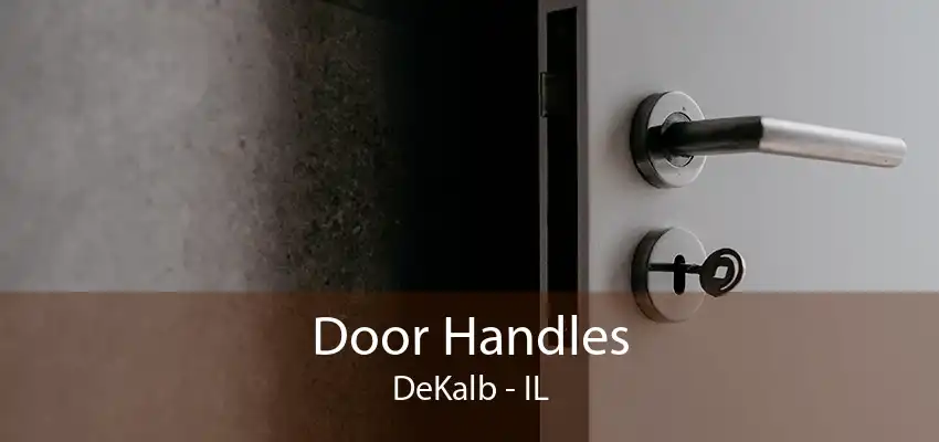 Door Handles DeKalb - IL