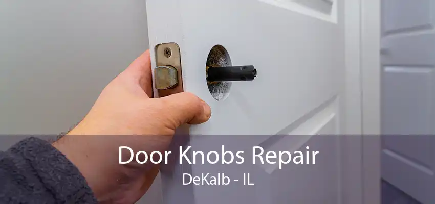 Door Knobs Repair DeKalb - IL