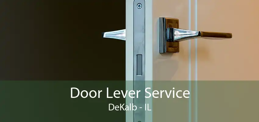 Door Lever Service DeKalb - IL