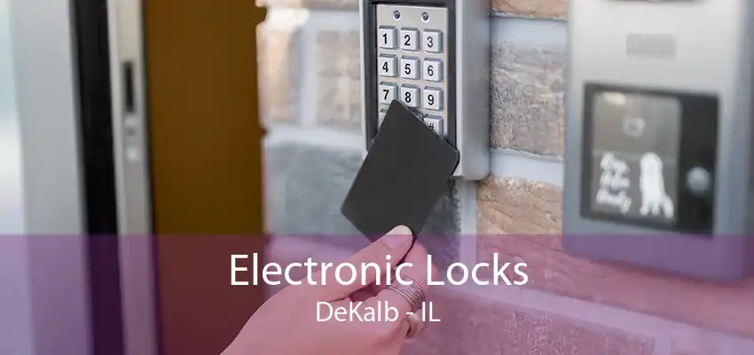 Electronic Locks DeKalb - IL