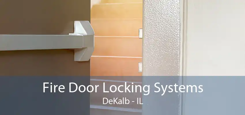 Fire Door Locking Systems DeKalb - IL