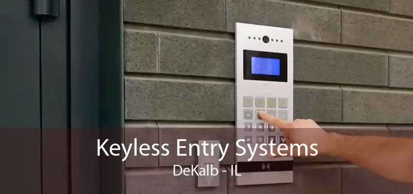 Keyless Entry Systems DeKalb - IL