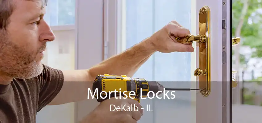 Mortise Locks DeKalb - IL