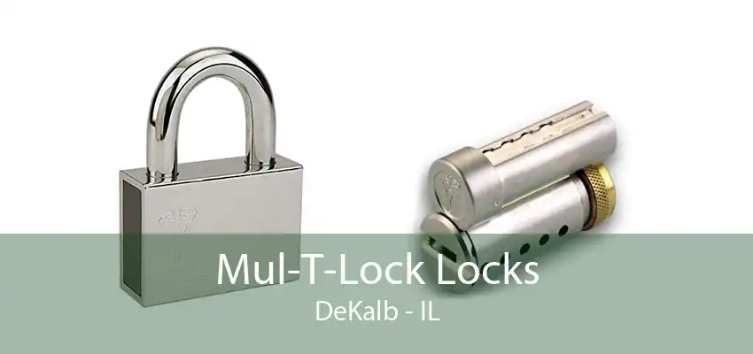 Mul-T-Lock Locks DeKalb - IL