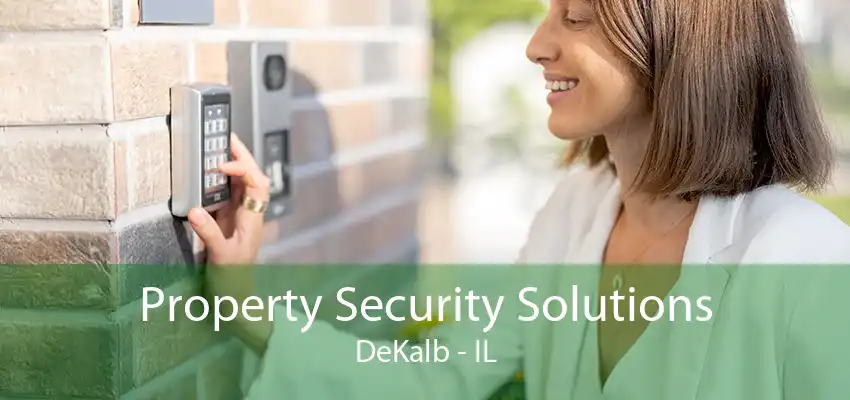 Property Security Solutions DeKalb - IL