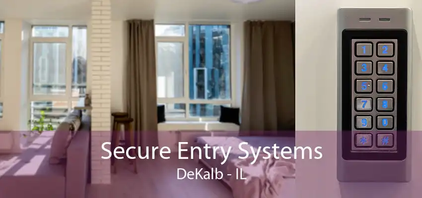 Secure Entry Systems DeKalb - IL