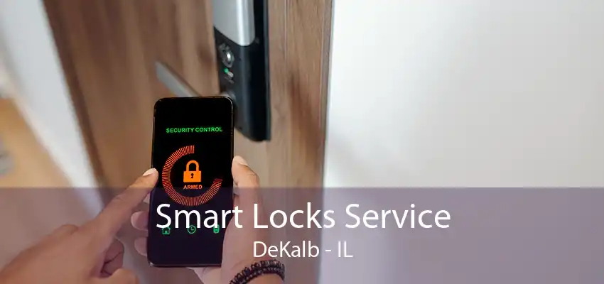 Smart Locks Service DeKalb - IL