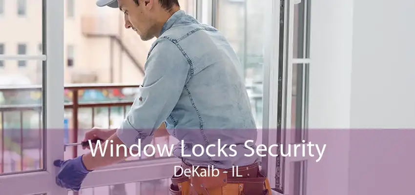 Window Locks Security DeKalb - IL